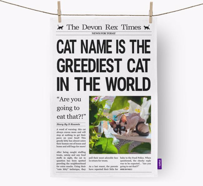 The {breedShortName} Times 'Greediest Cat In The World' Personalised Tea Towel
